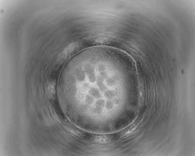 X0000059040127200510101020