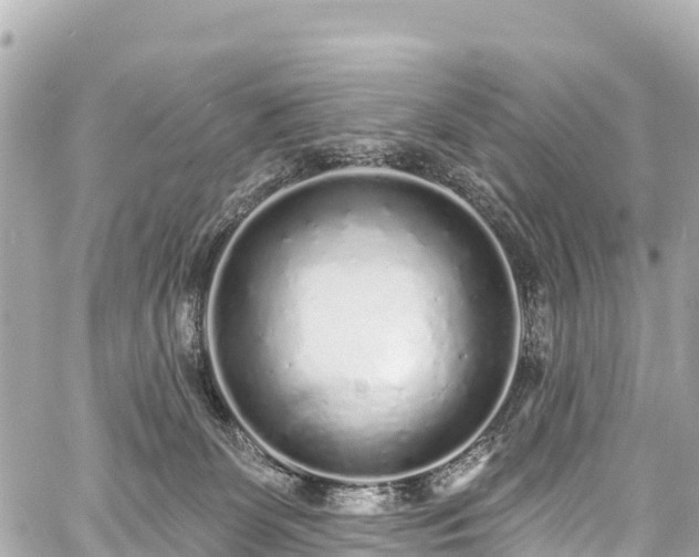 X0000059040131200510101020