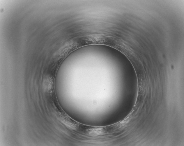 X0000059040132200510101020