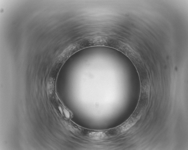 X0000059040133200510101020