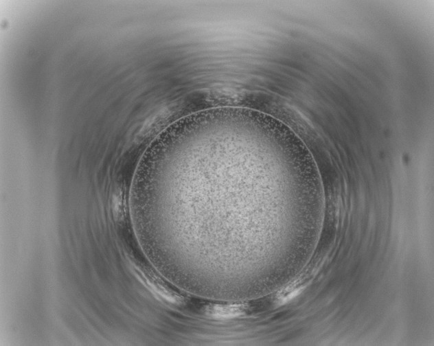 X0000059040134200510101020