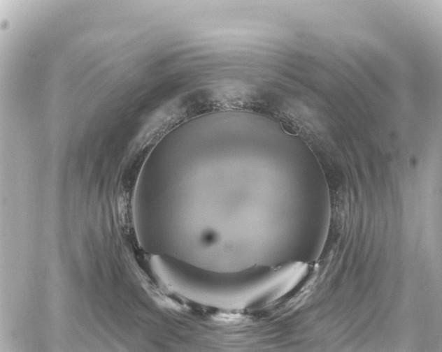 X0000059040139200510101019