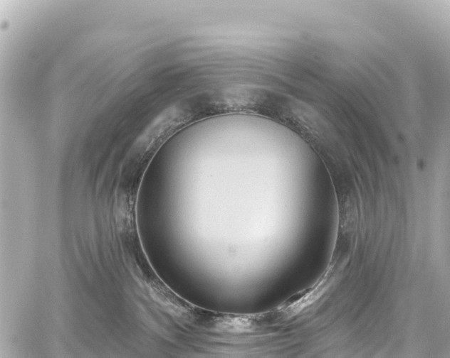 X0000059040140200510101019