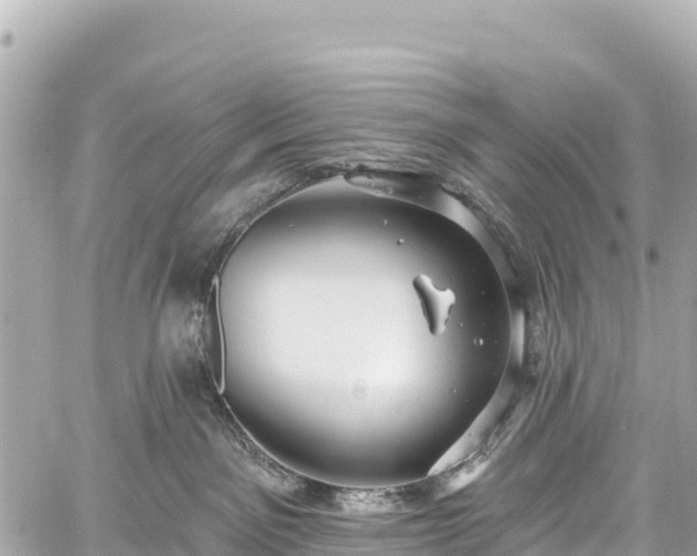 X0000059040141200510101019