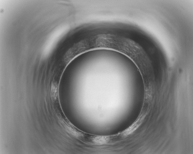 X0000059040142200510101019