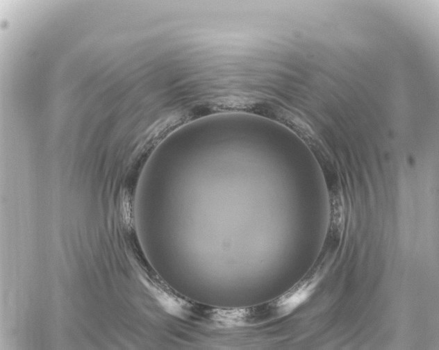 X0000059040143200510101019