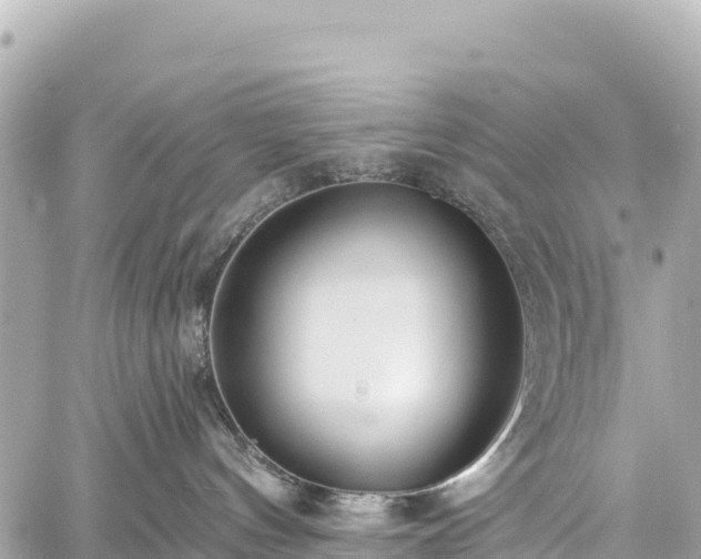 X0000059040144200510101019