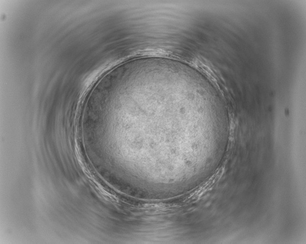 X0000059040145200510101019