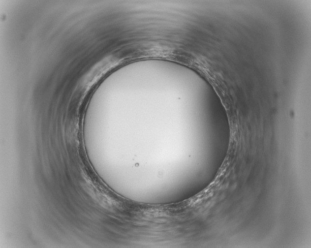 X0000059040146200510101019