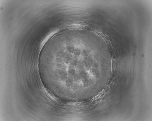 X0000059040147200510101019