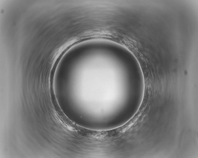 X0000059040148200510101019