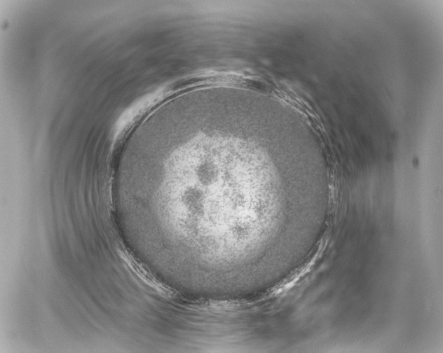 X0000059040149200510101019