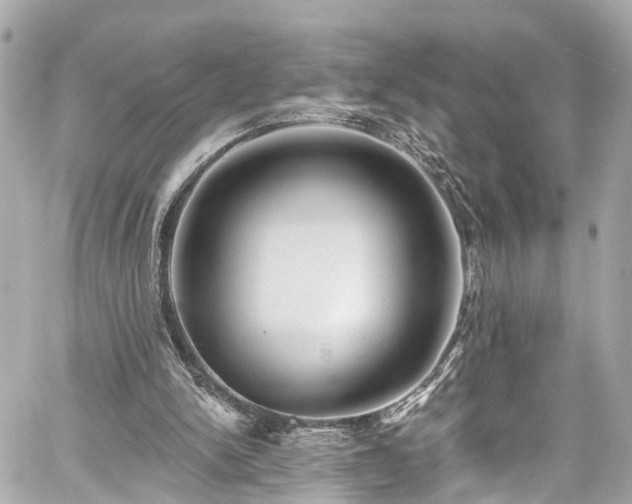 X0000059040150200510101019