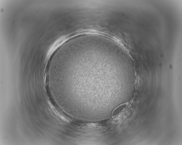 X0000059040151200510101019