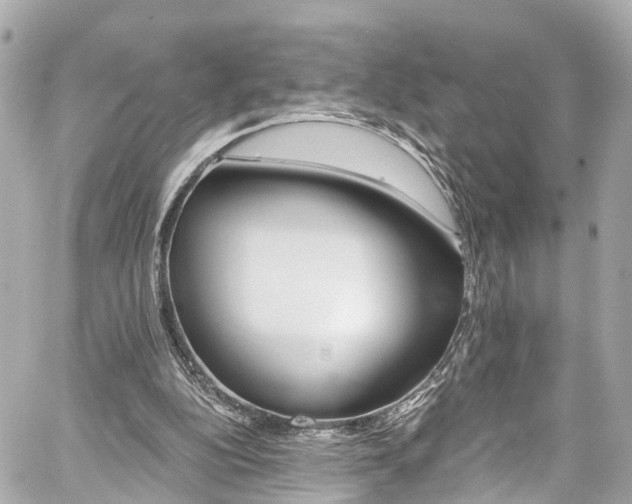 X0000059040152200510101019