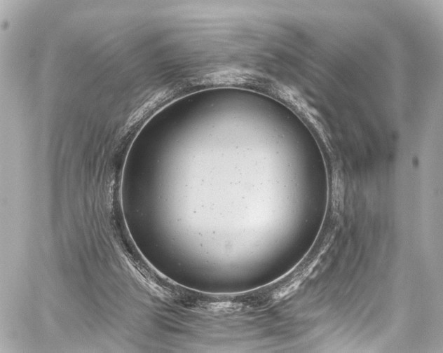 X0000059040153200510101019