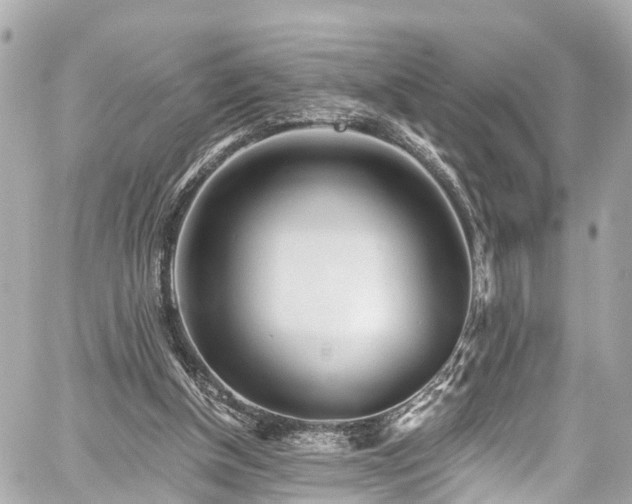 X0000059040154200510101019