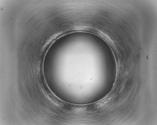 X0000059040155200510101019