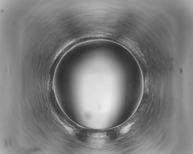 X0000059040156200510101019