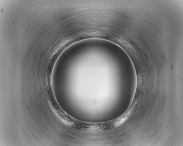 X0000059040158200510101019