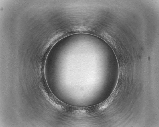 X0000059040159200510101019