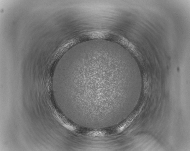 X0000059040161200510101019