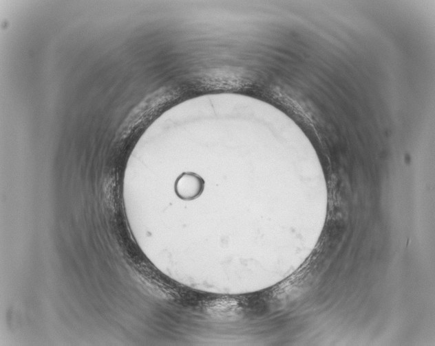 X0000059040162200510101019