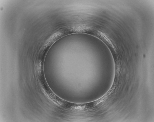 X0000059040163200510101019