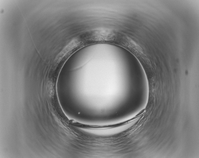 X0000059040164200510101019