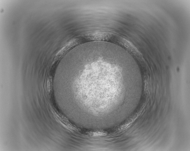 X0000059040165200510101019