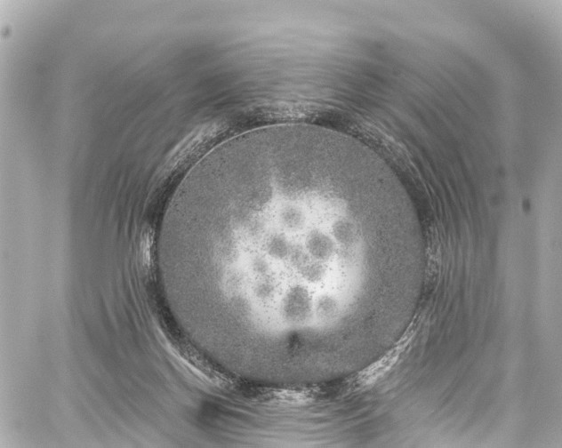 X0000059040166200510101019