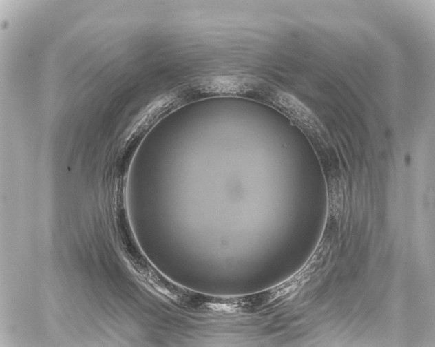 X0000059040167200510101019