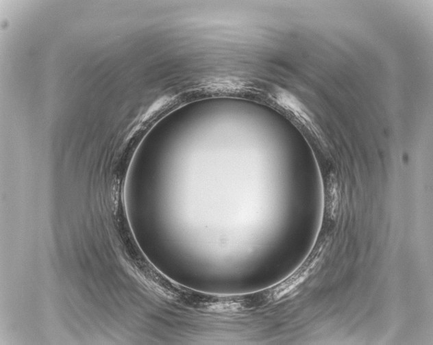 X0000059040168200510101019