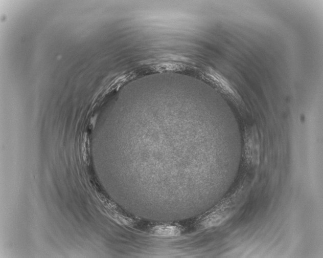 X0000059040169200510101019