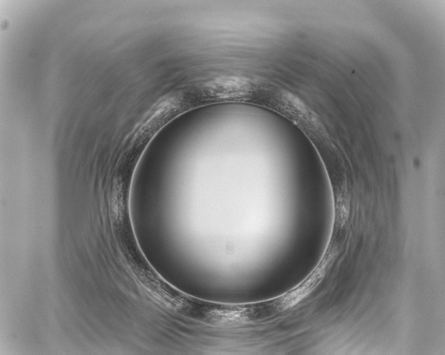 X0000059040170200510101019