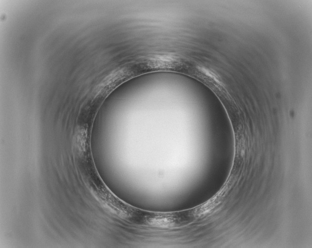 X0000059040171200510101019