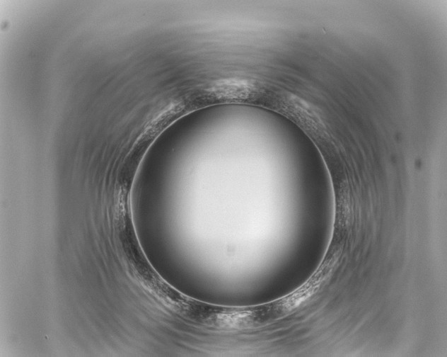 X0000059040172200510101019