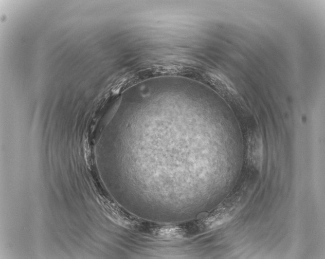 X0000059040173200510101019