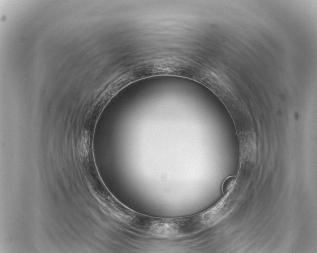 X0000059040174200510101019