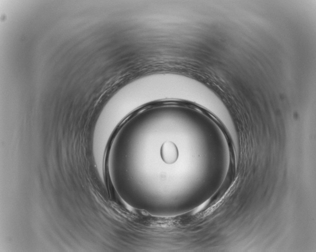 X0000059040175200510101019