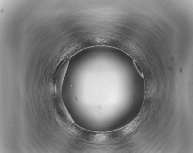 X0000059040176200510101019