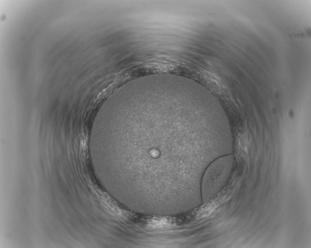 X0000059040177200510101019