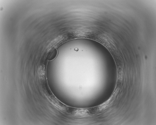 X0000059040179200510101019