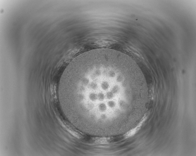 X0000059040182200510101019