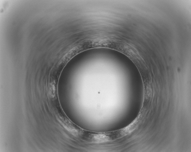 X0000059040183200510101019