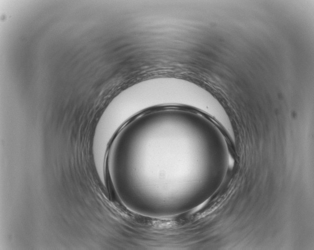 X0000059040185200510101019