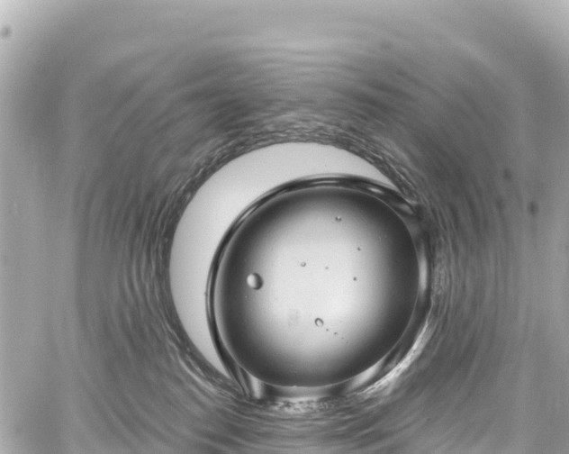 X0000059040186200510101019