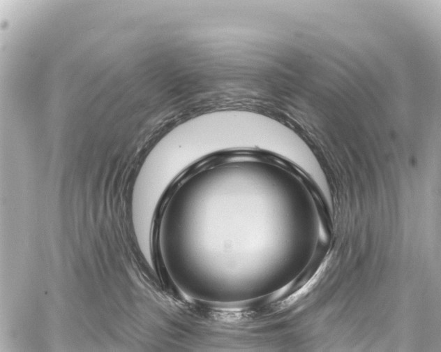 X0000059040187200510101019