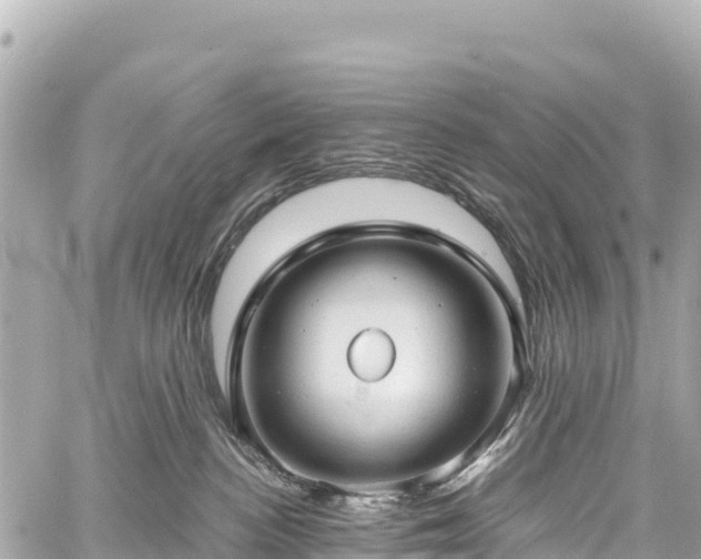 X0000059040188200510101019