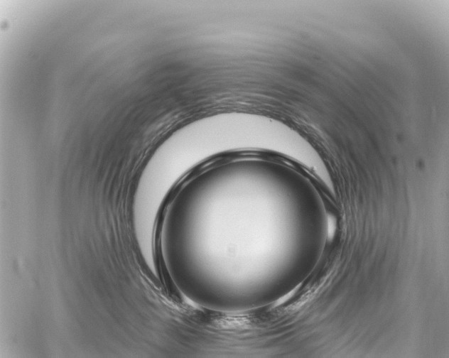 X0000059040189200510101019